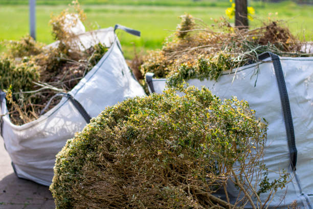 Shed Removal in South Carthage, TN